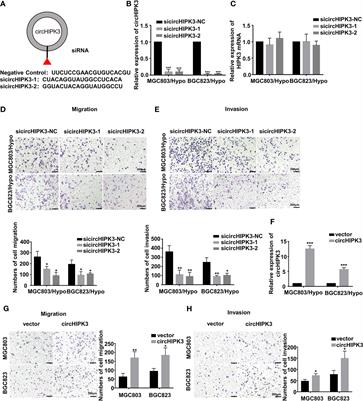 Corrigendum: CircHIPK3 Promotes Metastasis of Gastric Cancer via miR-653-5p/miR-338-3p-NRP1 Axis Under a Long-Term Hypoxic Microenvironment